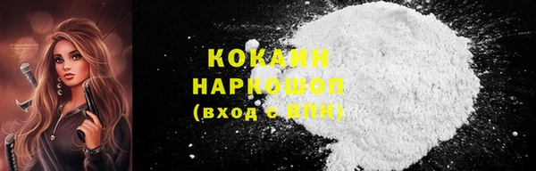 соль ск Нея