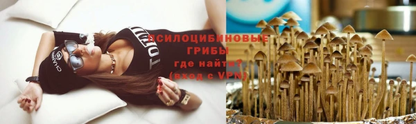 соль ск Нея