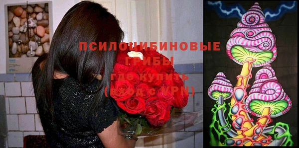 соль ск Нея