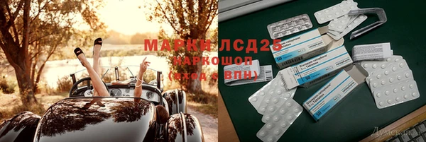 соль ск Нея