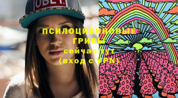 соль ск Нея